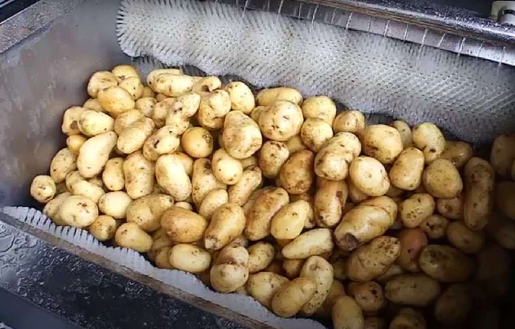 Картофель в щеточной овощечистке