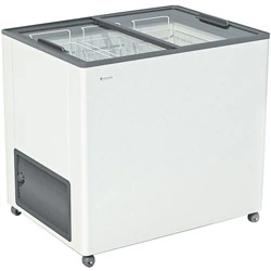 Ларь морозильный Frostor F 250 С серый (R290)