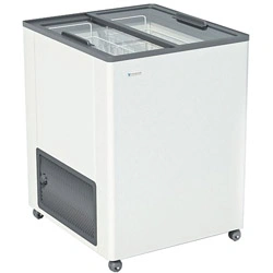 Ларь морозильный Frostor F 180 С серый (R290)