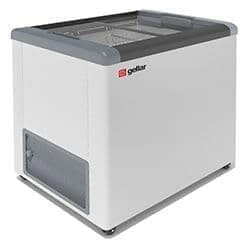 Ларь морозильный Frostor GELLAR FG 250 С серый