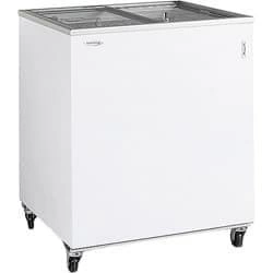Ларь морозильный Tefcold IC200SC