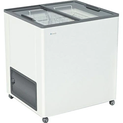 Ларь морозильный Frostor F 215 С серый (R290)