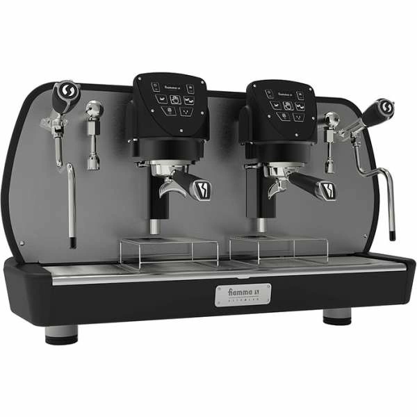 Кофемашина рожковая мультибойлерная Fiamma Astrolab 2 MB TC 2Gr автомат (2.0.037.0010)