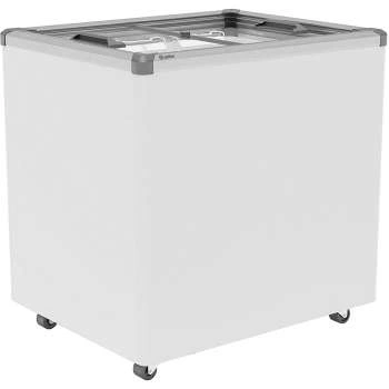 Ларь морозильный Frostor FG 250 С (FG 200 С) V25 серый (алюминиевая рамка)